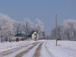 Frosty morning coming into WinterStar Farm