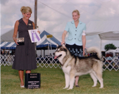 Howler Reserve Winners Dog at WI 2007 Specialty