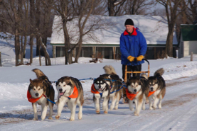 Huck (3rd from left) on his first sled run, 5 months old